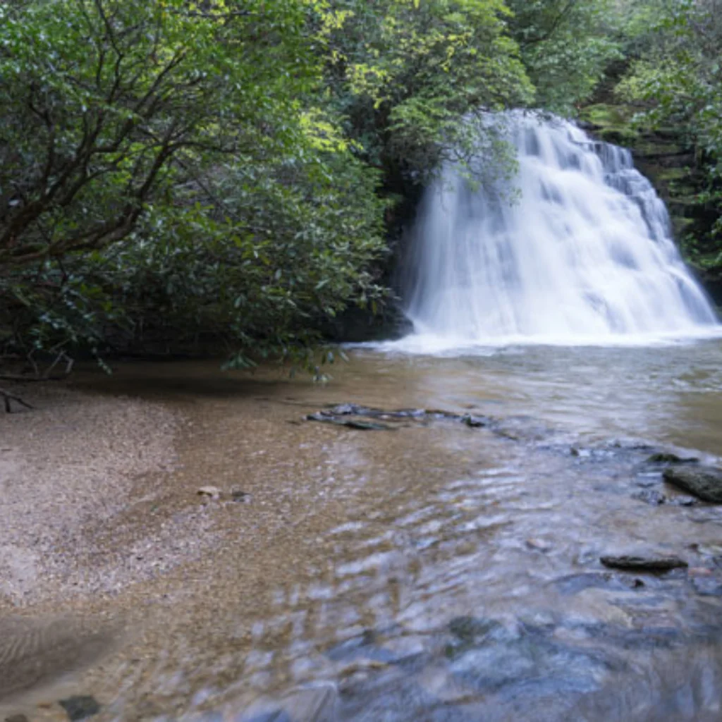 PHoto of a waterfall in a creek taken from the banks of the creek in Headwaters State Park. Waterfall is surrounded by trees and greenery.