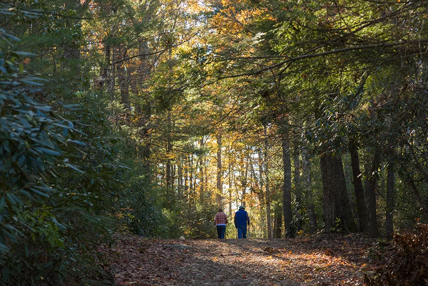 Photo of a trail in Pisgah National forest with two people walking in the distance surrounded by trees.